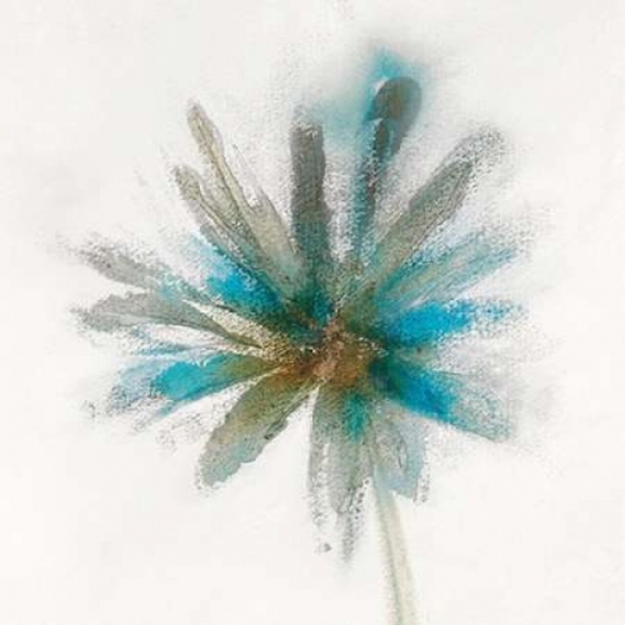 Old Oaks and Sea Mist Poster Print by J.P. Prior - Item # VARPDXPJP425